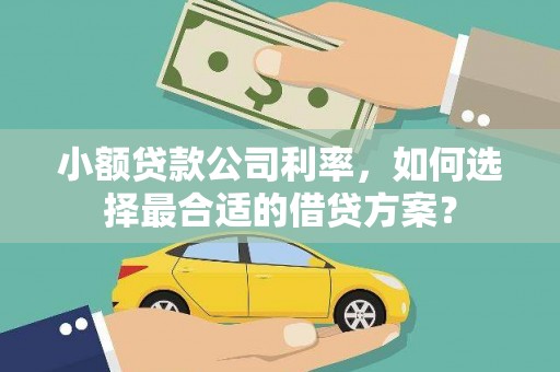 柳东小额贷款公司利率，如何选择最合适的借贷方案？