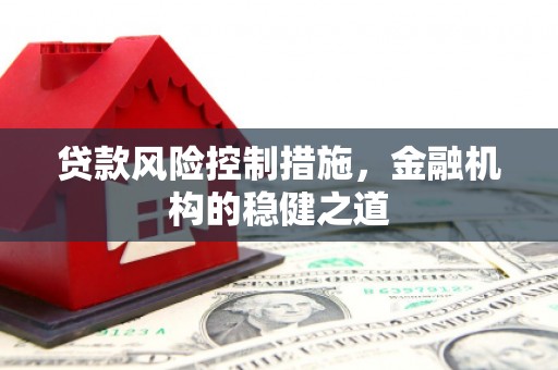 柳东贷款风险控制措施，金融机构的稳健之道
