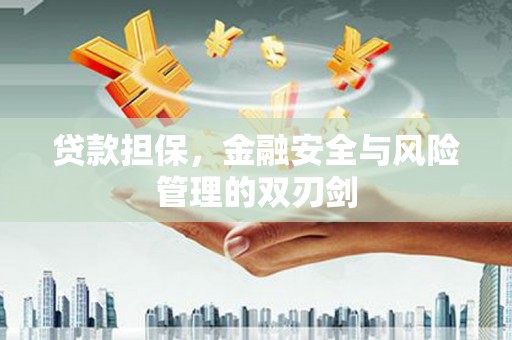 柳东贷款担保，金融安全与风险管理的双刃剑