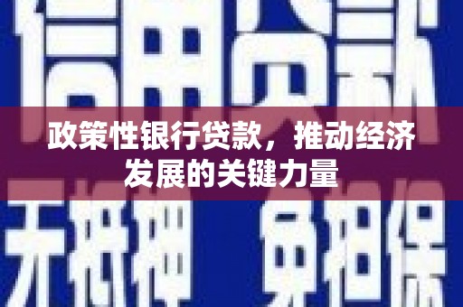 柳东政策性银行贷款，推动经济发展的关键力量