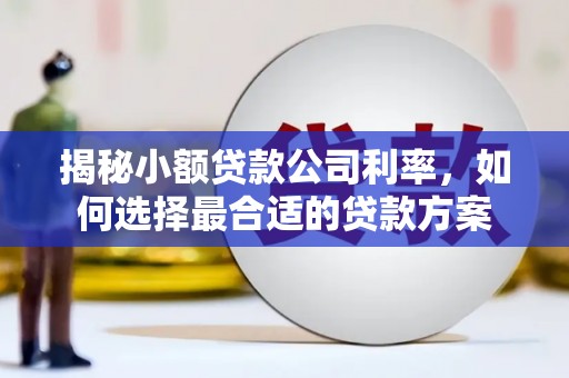 柳东揭秘小额贷款公司利率，如何选择最合适的贷款方案