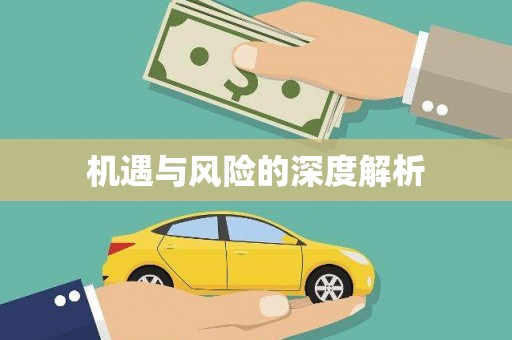 柳东机遇与风险的深度解析