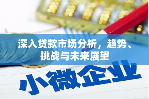 柳东深入贷款市场分析，趋势、挑战与未来展望