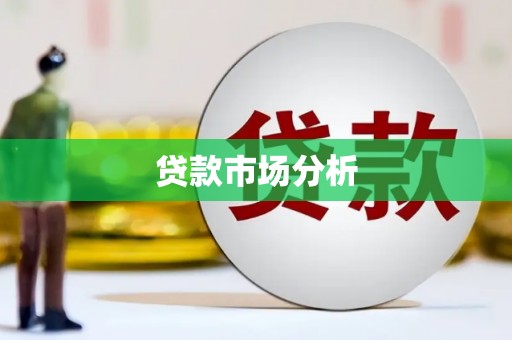 柳东贷款市场分析