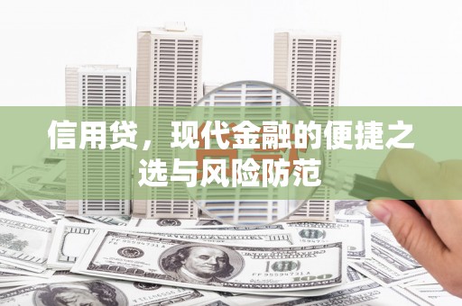 柳东信用贷，现代金融的便捷之选与风险防范