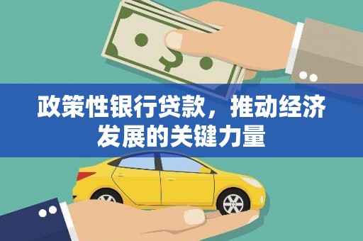 柳东政策性银行贷款，推动经济发展的关键力量