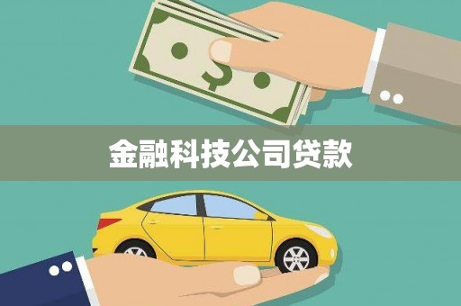 柳东金融科技公司贷款