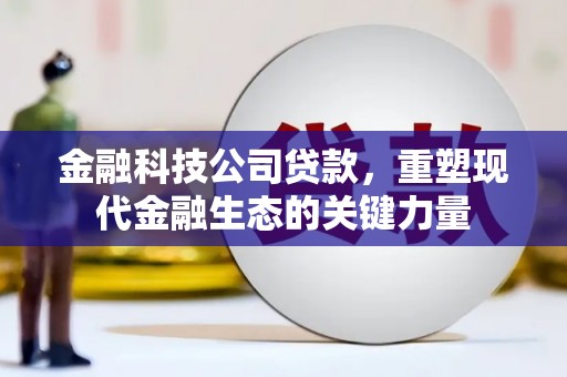 柳东金融科技公司贷款，重塑现代金融生态的关键力量