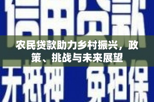 柳东农民贷款助力乡村振兴，政策、挑战与未来展望