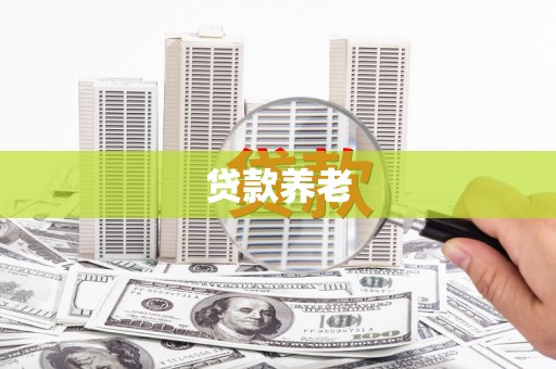 柳东贷款养老
