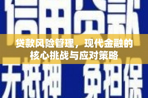 柳东贷款风险管理，现代金融的核心挑战与应对策略