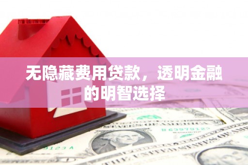 柳东无隐藏费用贷款，透明金融的明智选择