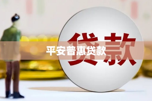 柳东平安普惠贷款