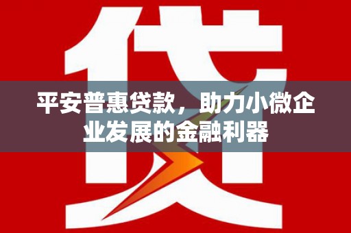 柳东平安普惠贷款，助力小微企业发展的金融利器