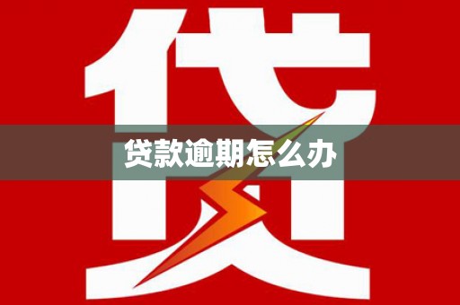 柳东贷款逾期怎么办