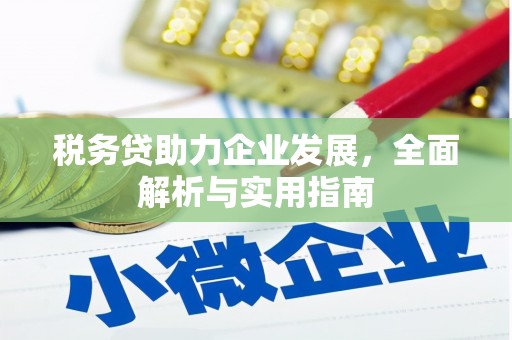 柳东税务贷助力企业发展，全面解析与实用指南