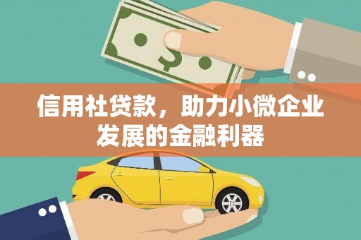 柳东信用社贷款，助力小微企业发展的金融利器