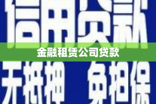 柳东金融租赁公司贷款