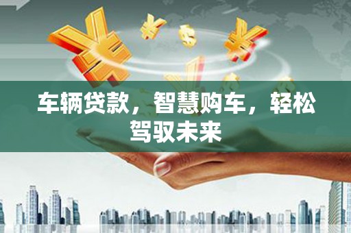 柳东车辆贷款，智慧购车，轻松驾驭未来