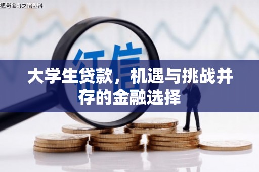 柳东大学生贷款，机遇与挑战并存的金融选择