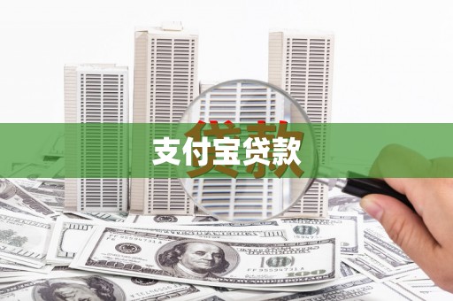 柳东支付宝贷款