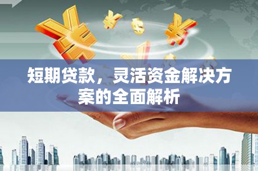柳东短期贷款，灵活资金解决方案的全面解析