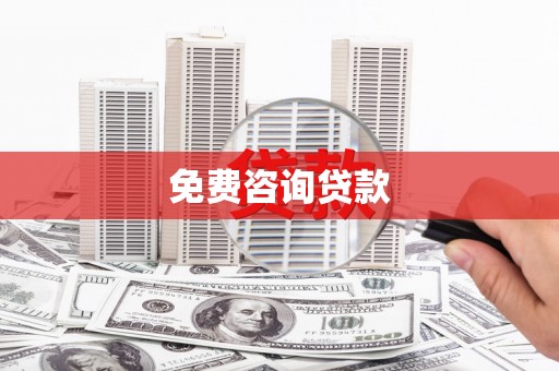 柳东免费咨询贷款