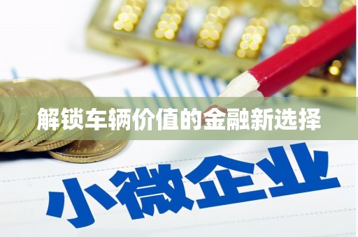 柳东解锁车辆价值的金融新选择