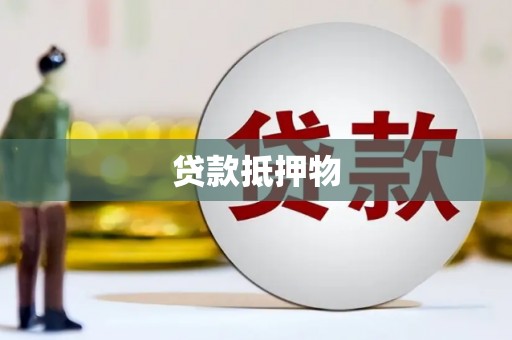 柳东贷款抵押物