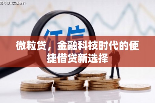 柳东微粒贷，金融科技时代的便捷借贷新选择