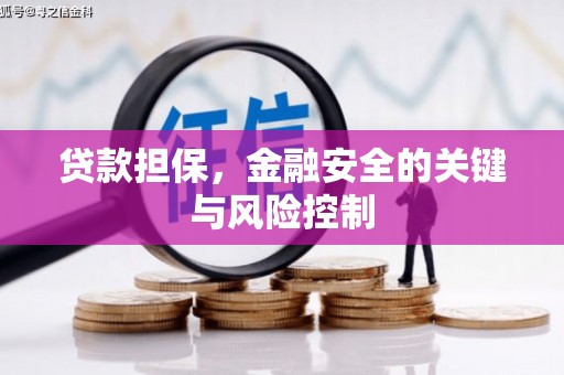 柳东贷款担保，金融安全的关键与风险控制