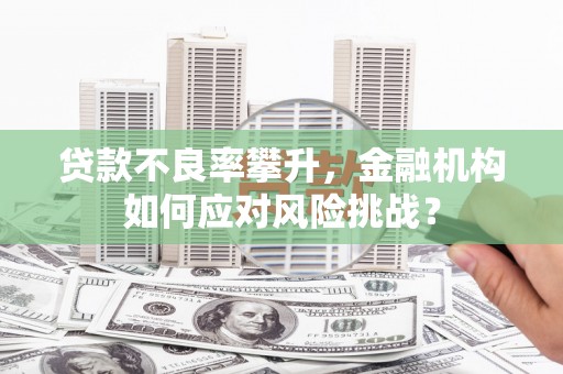 柳东贷款不良率攀升，金融机构如何应对风险挑战？