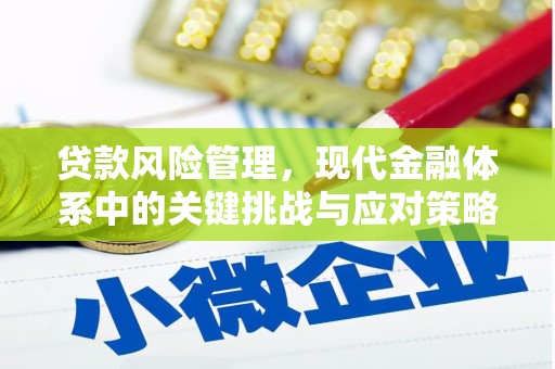 柳东贷款风险管理，现代金融体系中的关键挑战与应对策略