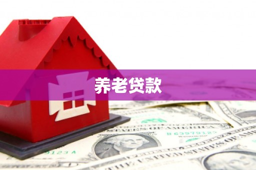 柳东养老贷款