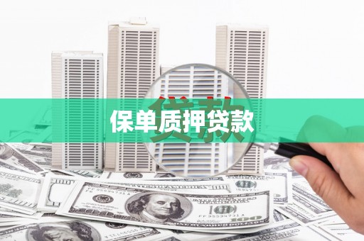 柳东保单质押贷款