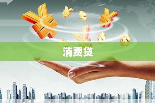 柳东消费贷