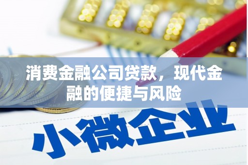 柳东消费金融公司贷款，现代金融的便捷与风险