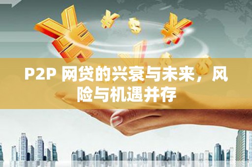 柳东P2P 网贷的兴衰与未来，风险与机遇并存
