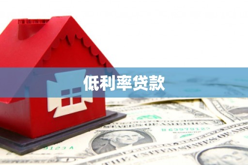 柳东低利率贷款
