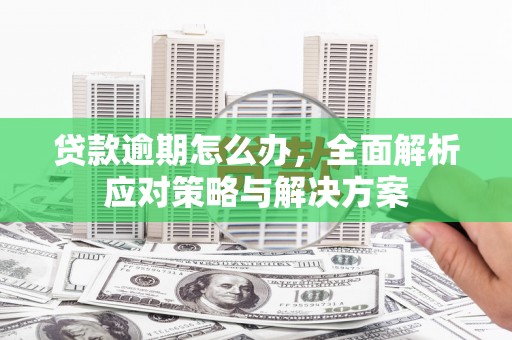 柳东贷款逾期怎么办，全面解析应对策略与解决方案