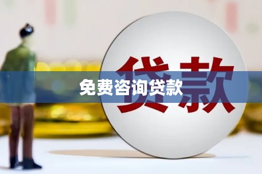 柳东免费咨询贷款