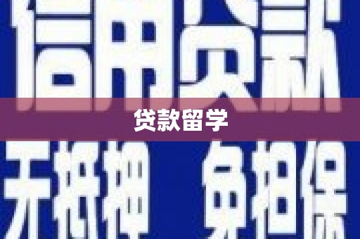 柳东贷款留学