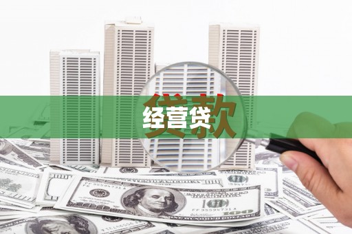 柳东经营贷