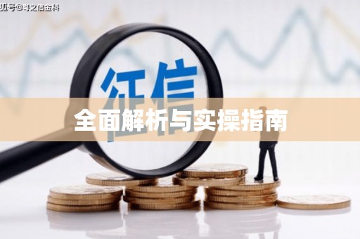 柳东全面解析与实操指南