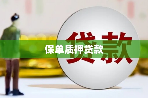 柳东保单质押贷款