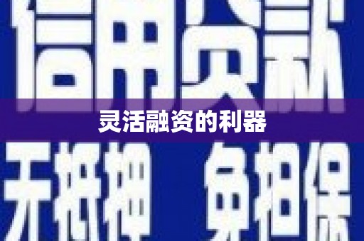 柳东灵活融资的利器