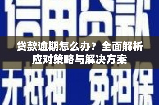 柳东贷款逾期怎么办？全面解析应对策略与解决方案
