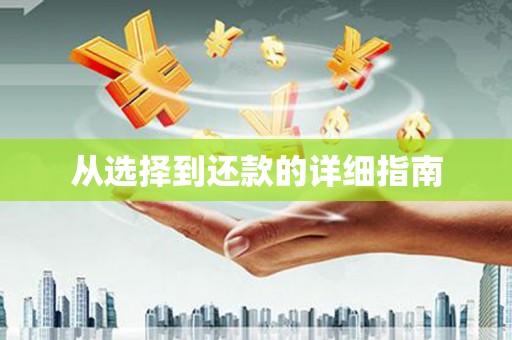 柳东从选择到还款的详细指南