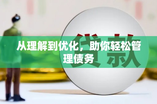 柳东从理解到优化，助你轻松管理债务