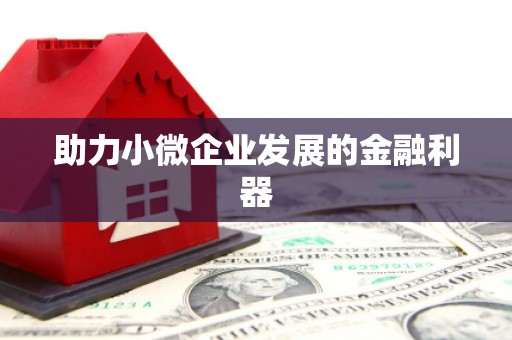 柳东助力小微企业发展的金融利器